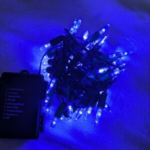 Christmas String Lights, 50-Count Green Wire Light Set, Battery Operated (EUC)